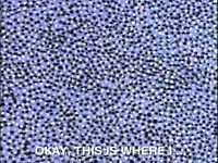 rockos modern life nicksplat GIF