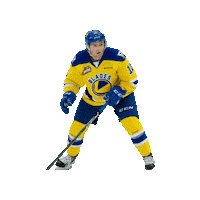 Hockey Robbie Sticker by Saskatchewan Rush