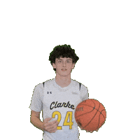 Mens Basketball Sticker by Clarke University