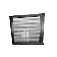 Spying Interscope Records Sticker by X Ambassadors