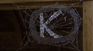 k GIF