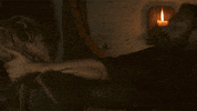 season 1 vikings GIF by HISTORY