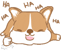 Happy Birthday Lol Sticker by Pik Ng