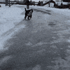 what is this ground???? GIF by Digg