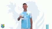 Fc GIF by ChemnitzerFC