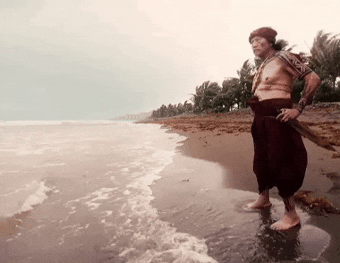 Film Cinema GIF