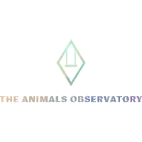 tao theanimalsobservatory Sticker