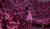 Tonight Show Dancing GIF by The Tonight Show Starring Jimmy Fallon
