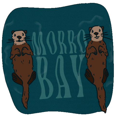 VisitMorroBayCA otters morro bay visit california morrobay GIF