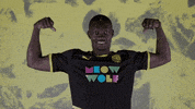 Usl Championship Celebration GIF by New Mexico United