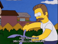 homer simpson GIF