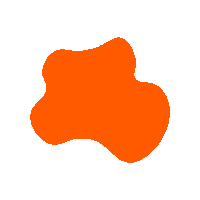 vegkit orange shape orange blob vegkit veg kit Sticker