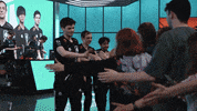 League Of Legends Lol GIF by G2 Esports
