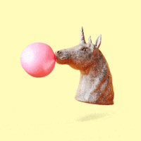 GIF by Bob's your uncle