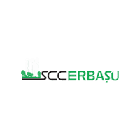 marketingerbasu romania echipa constructii erbasu Sticker