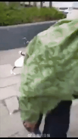 ghswk88 giphyupload GIF