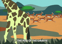 africa GIF by South Park 