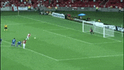 Dale Libertadores GIF by Sport Club Internacional