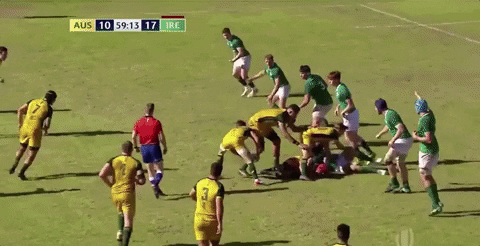 sammylarns giphygifgrabber GIF