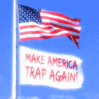 Make America Great Again Trump GIF by New 11