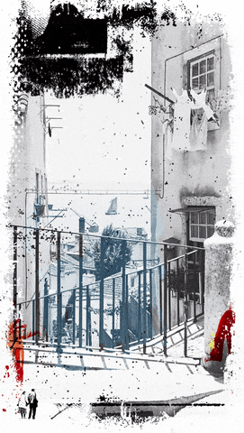 DNoticias giphyupload GIF