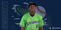 double a acuna jr. GIF by Gwinnett Stripers