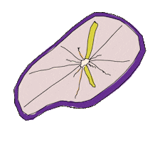 antiquesatmyhouse retro clock old school antiques Sticker