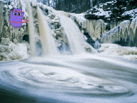 Taekima Aussteller Online Franchisemesse GIF by FranchiseONE.de