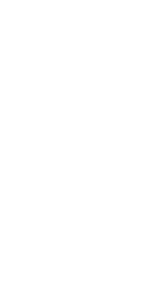 AGWiIng logo baer estiem vwi Sticker