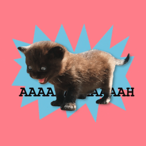 Scream Stress GIF by max contre-attaque