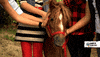 Happy Tiere Bis Unters Dach GIF by SWR Kindernetz