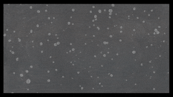 Enthusiast Space Bear GIF by Brad Montague