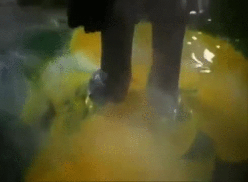 who framed roger rabbit GIF