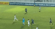 cartoleiros futebol serie b apodi ponte preta GIF