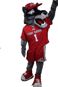 Stony Brook Sticker by Stony Brook University