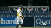 Major League Baseball Sport GIF by MLB