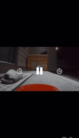 wrathmonkey giphygifmaker giphygifmakermobile GIF