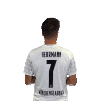 Patrick Herrmann Diefohlen Sticker by Borussia Mönchengladbach