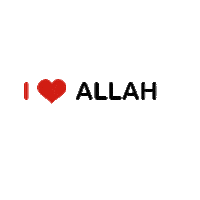 Muslim Ali Sticker