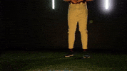 Baseball Juco GIF by Pearl River Athletics
