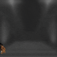 Business Yes GIF by Aaron Sansoni
