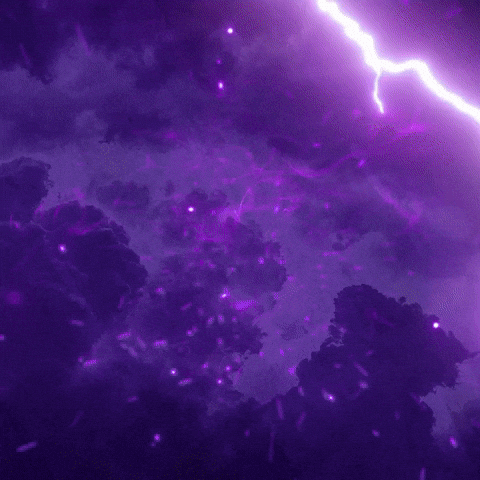 Kolkata Knight Riders Ipl GIF by Knight Riders Sports