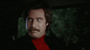GIF by Giphy QA