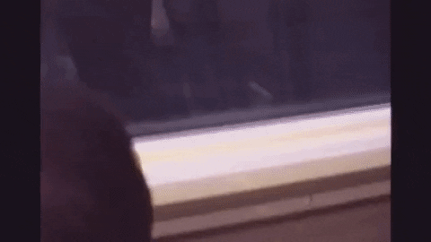 Wish You Were Here Family GIF by CL