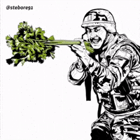 Marine Corps Birthday Peace GIF