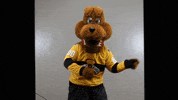 BdnWheatKings kings brandon willie wheat GIF