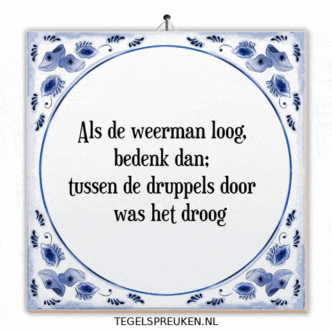 Humor Wijsheid GIF by Tegelspreuken.nl