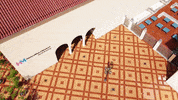 Miami Beach Travel GIF by HistoryMiami Museum