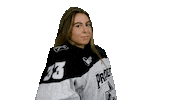 Sticker by Providence Friars