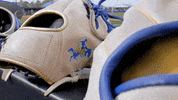 McNeeseSports baseball ncaa champion champions GIF
